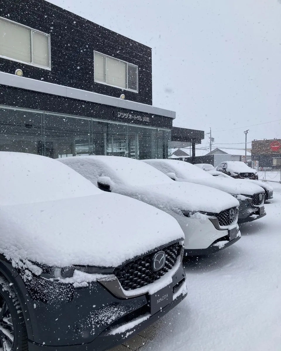 【一面銀世界！】