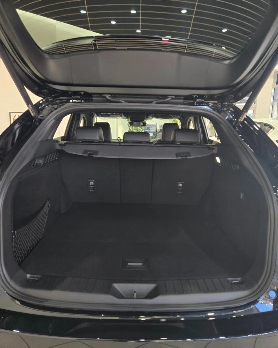 📢 新展示車のお知らせ