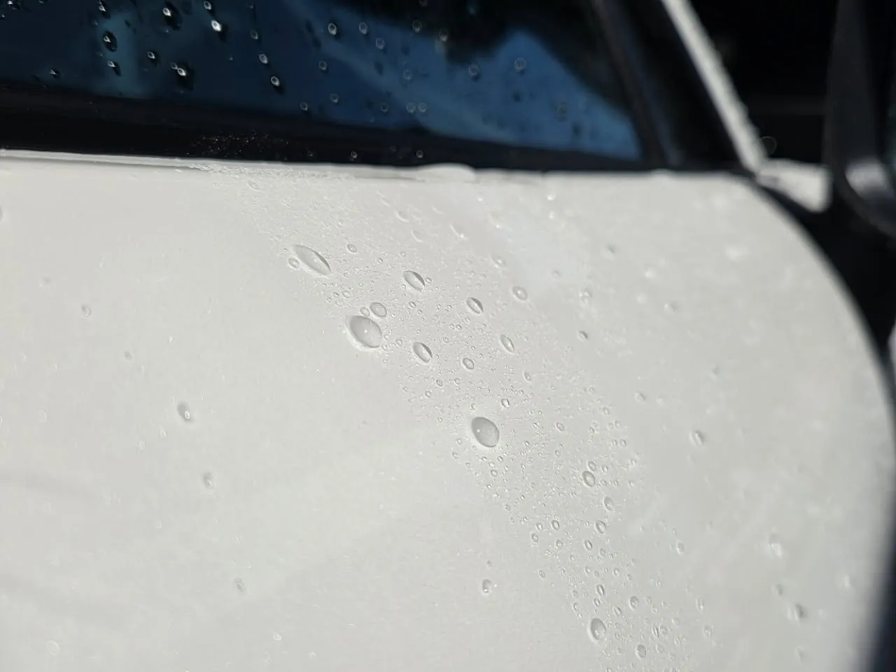 MAZDAのMGコーティング💎