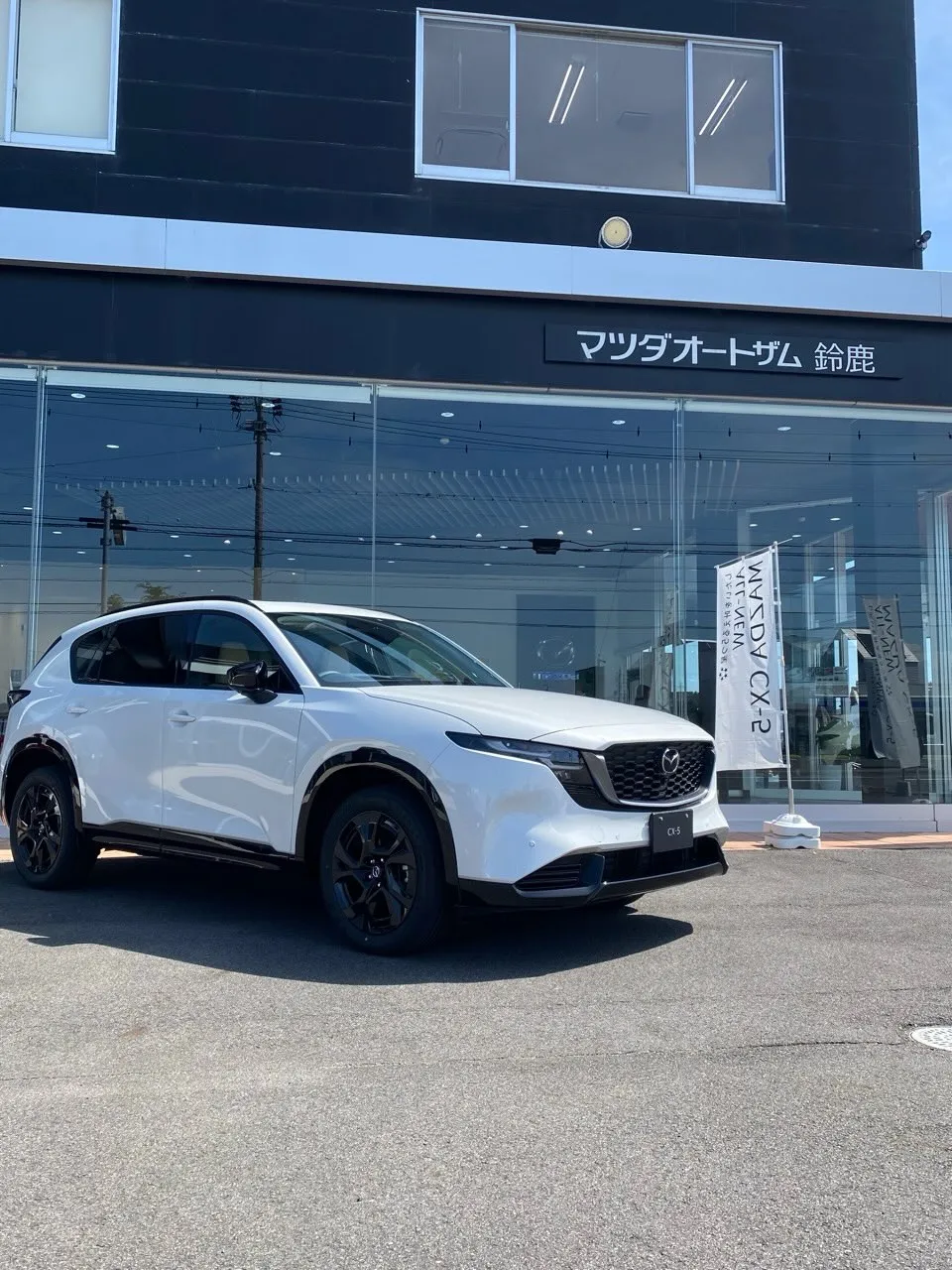 ✨ついに✨