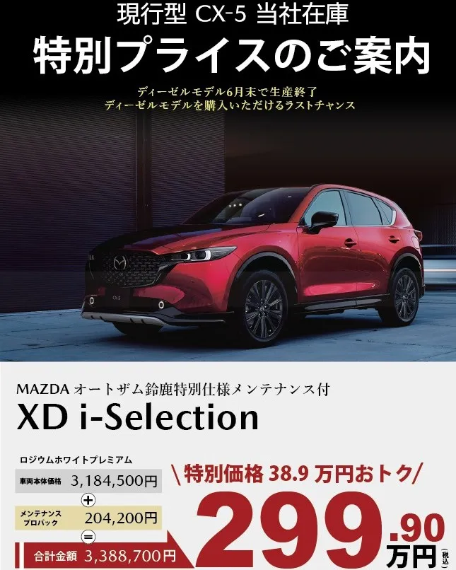 🚗 300万円を切る特別価格 🚗