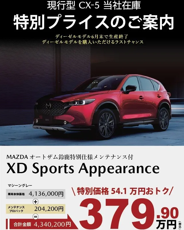 ✨ 人気のマシーングレー ✨